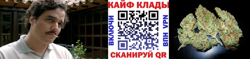 Купить наркотики Новое Девяткино МАРИХУАНА  Псилоцибиновые грибы  Гашиш 